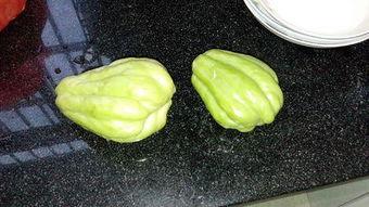 嫩的兔儿瓜怎么吃,嫩兔儿瓜的多样食法探索