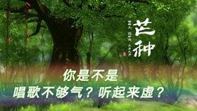 网红唱的芒种,网红演绎的芒种风情