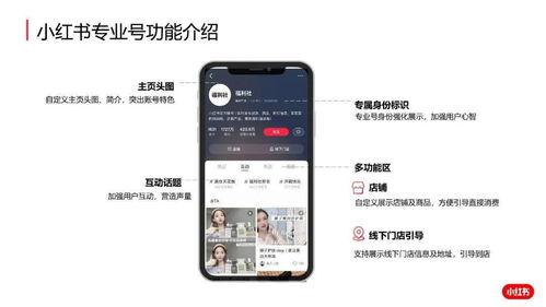 明星小红书号大全,网红明星的社交圈揭秘