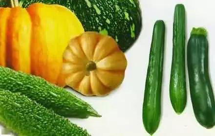 仙境吃瓜,揭秘神秘吃瓜传说