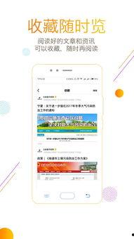 头条新手直播环境要求,头条平台直播环境要求全解析