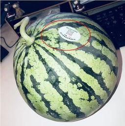 网红结婚吃瓜,吃瓜群众围观揭秘！