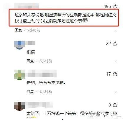 支持哪位网红的剧本,揭秘其背后的热门剧本与粉丝狂热