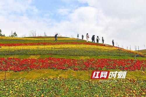 打卡网红地花洲,探寻古韵与现代交融的网红打卡胜地