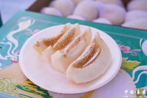 白脆瓜咋吃,探索美味与健康的完美结合