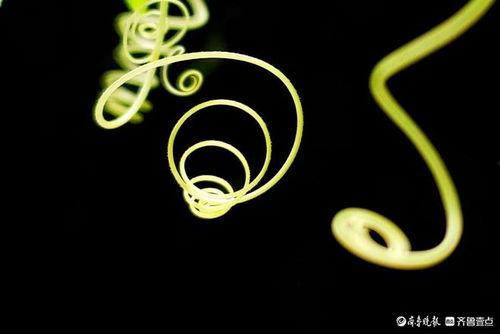 网红音符跳动
