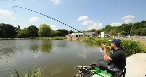 四川水库钓鱼爆料 新闻,惊现珍稀鱼种引关注