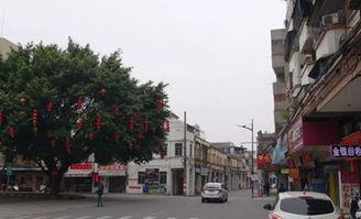 大连台山头条新闻,头条新闻聚焦区域发展新篇章